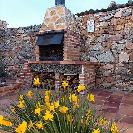 La Casa Del Buho Villa Santa Maria la Real de Nieva ภายนอก รูปภาพ