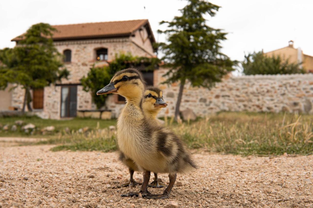 La Casa Del Buho Villa Santa Maria la Real de Nieva ภายนอก รูปภาพ